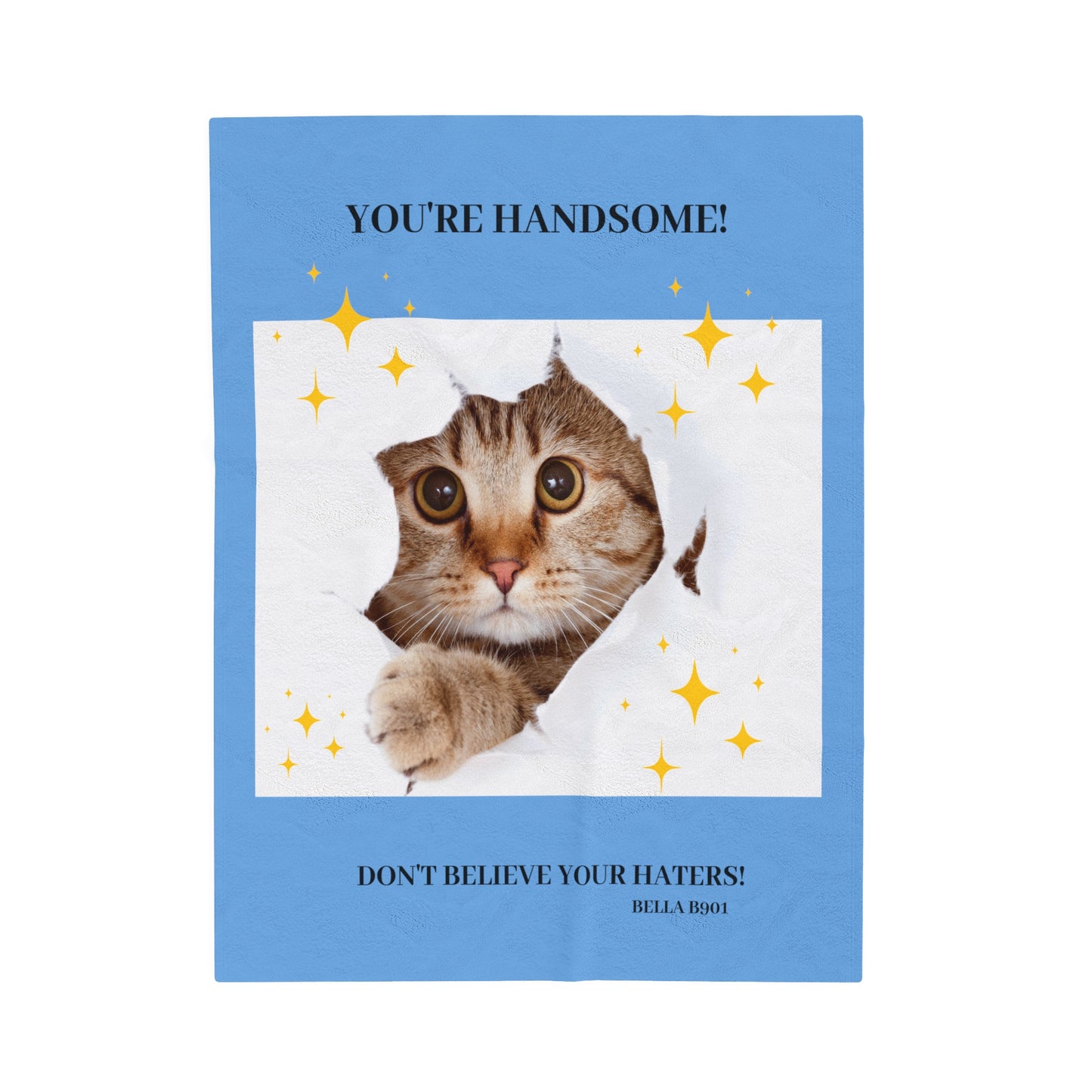 You're Handsome Velveteen Plush Blanket