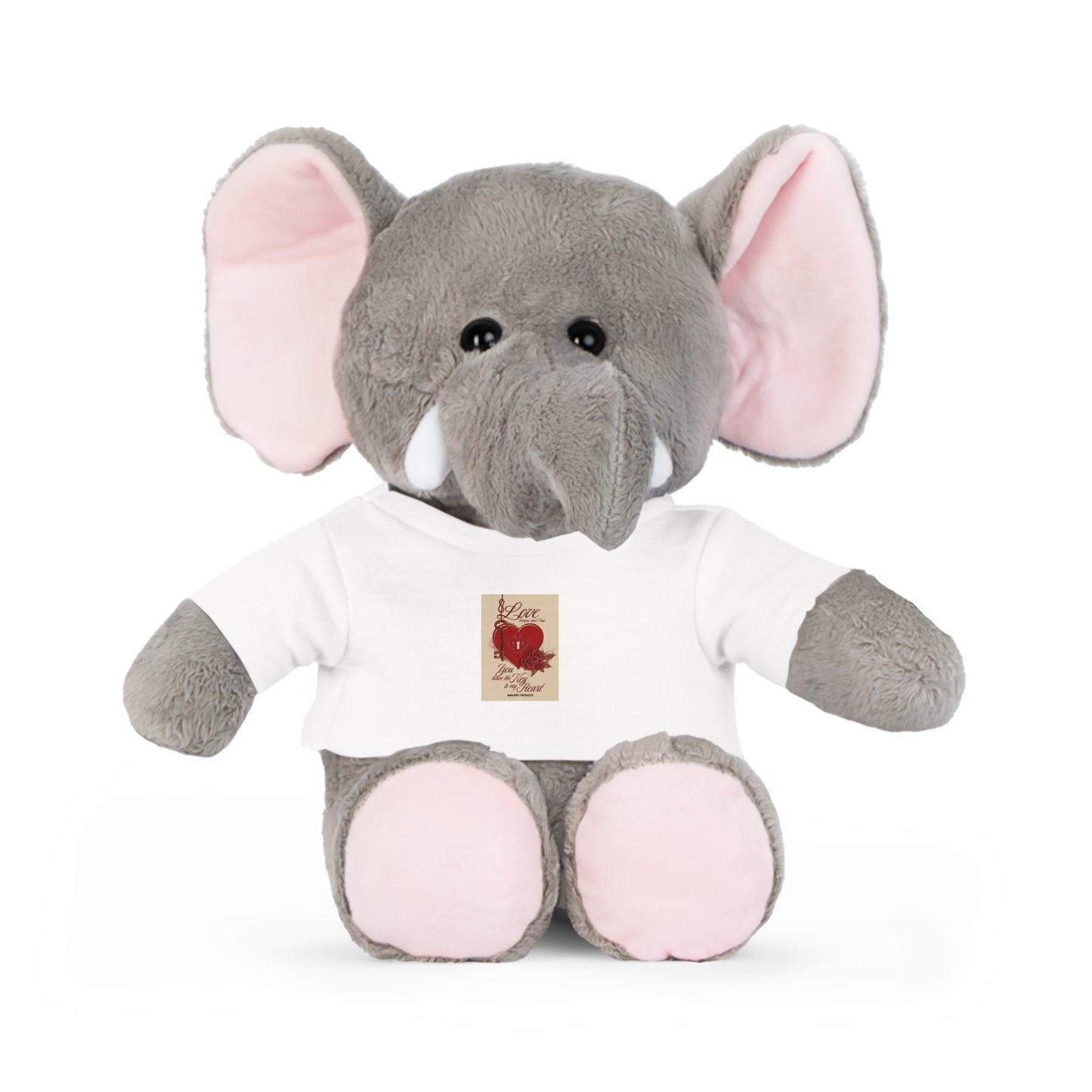 The Key To My Heart Plush Toy with T-Shirt